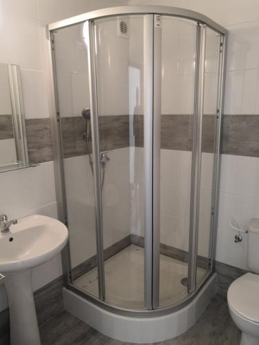 a shower in a bathroom with a sink and a toilet at Penzion Ubytování u Parku s parkovištěm in Česká Lípa