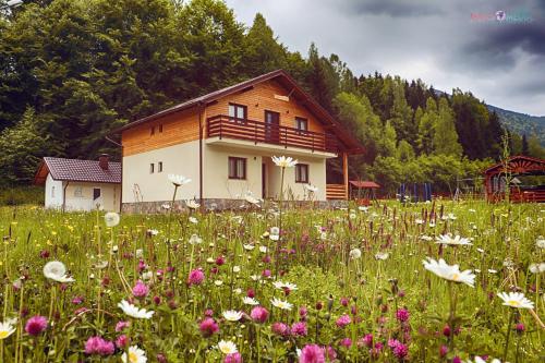 a field of flowers in front of a house at Pensiunea Floare de Colt in Moisei