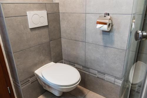 a small bathroom with a toilet and a shower at Penzion U Pivovaru in Děčín