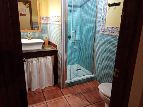 a bathroom with a shower and a sink and a toilet at EL MOLINO in Sequeros