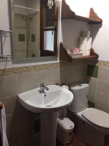 a bathroom with a sink and a toilet and a mirror at Casa Rural Cortijo La Ajedrea in Siles
