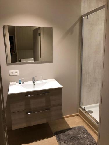 a bathroom with a sink and a shower with a mirror at B&B De Dulle Koe in Waregem