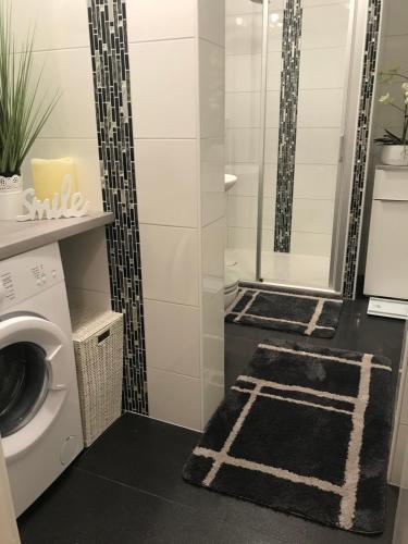 a bathroom with a shower and a washing machine at Ferienwohnung Viktoria in Gotha