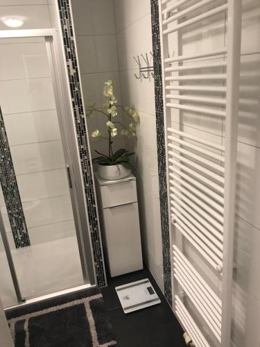 a mirror in a bathroom with a scale on the floor at Ferienwohnung Viktoria in Gotha