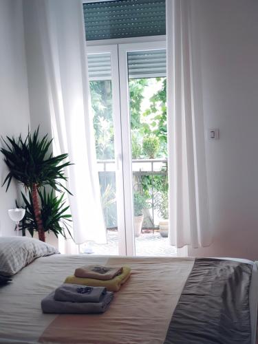 um quarto com duas toalhas numa cama com uma janela em Cricket Park Hostel em Belgrado