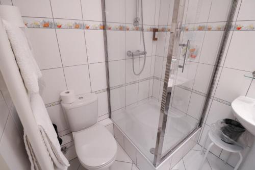 a bathroom with a shower and a toilet and a sink at La Vieille Ferme Chassepierre in Chassepierre