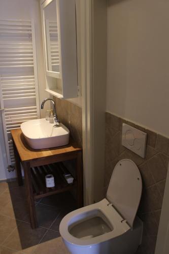 Koupelna v ubytování Vila Dorothea