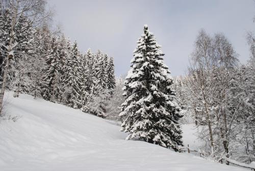 L'établissement Schlintl-Hof en hiver