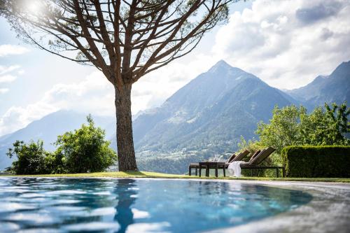 シェーナにあるHotel Erzherzog Johannの木と山を背景にしたスイミングプール