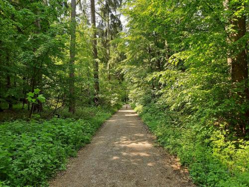 a dirt road in the middle of a forest at Rossano Boutique Hotel & Ristorante in Ansbach
