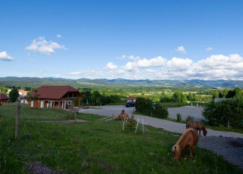 Gallery image of Camp The sunrise hill in Pivka