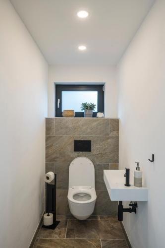 a bathroom with a toilet and a sink at steiRerBLiCke- Schilcherhaus in Greisdorf