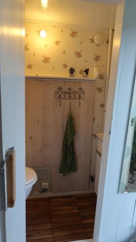 a bathroom with a toilet and a towel hanging on the wall at Pinglans bakficka in Gränna