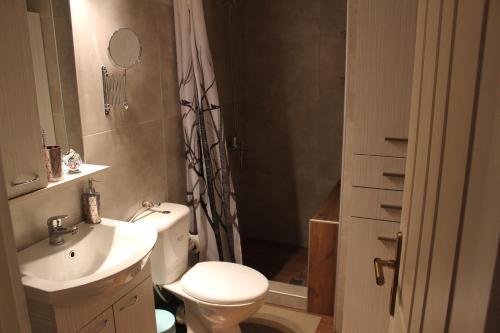 a bathroom with a toilet and a sink and a shower at Carolina Apartments Crete in Agia Pelagia