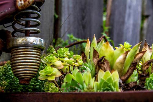 Jardín al aire libre en Müllner-Hof