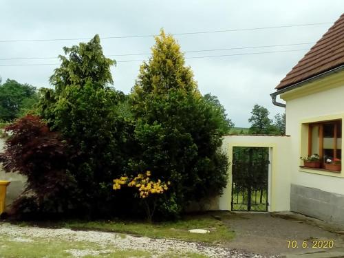 Gallery image of Statek-Hofje in Broumov
