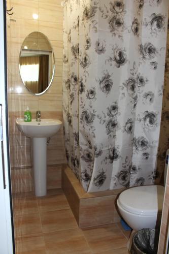baño con lavabo y cortina de ducha en Skarlett Guest House, en Lazarevskoye