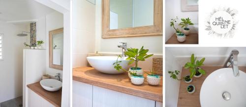 a bathroom with a sink and a mirror and plants at Complexe de deux bungalows de standing in Case-Pilote