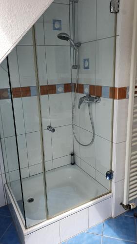 een badkamer met een glazen douchecabine bij Ferienwohnung mit See- und Waldblick in Möhnesee