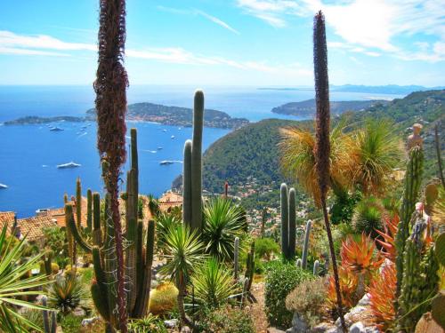 a view of the amalfi coast with cactus at La Victoire Boutique Hotel in Vence