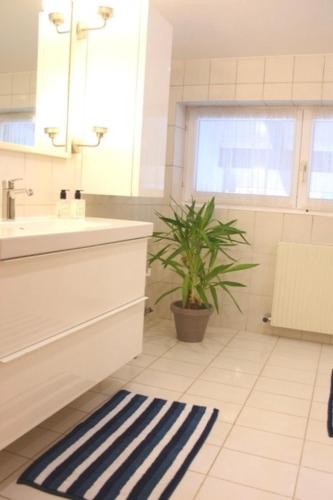 Koupelna v ubytování Ferienwohnung Heideggerhof
