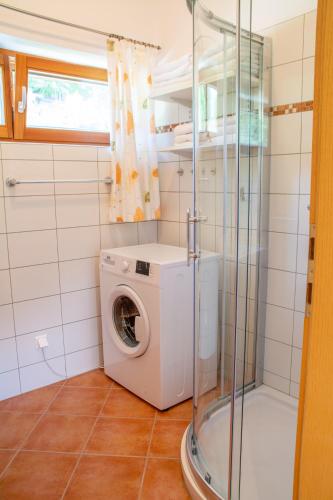 a washing machine in a bathroom with a shower at Gartenlodge Auszeit in Nötsch