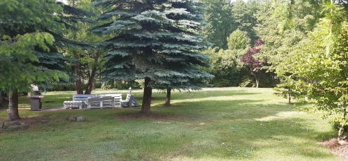 a park with a bench and trees in the grass at Dom Wakacyjny Myśliborka in Nowe Warpno