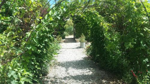 Jardín al aire libre en Aux Roses de l'Etang