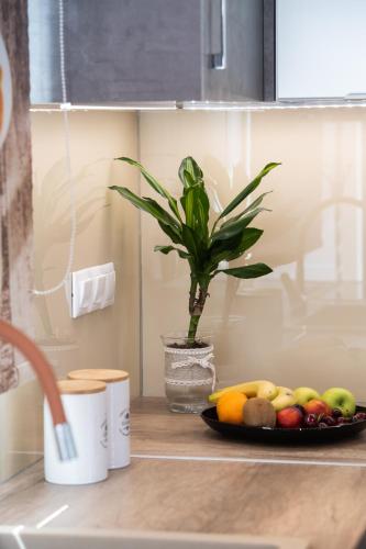 a plate of fruit on a kitchen counter with a plant at ANATOLI VILLAS in Nikiana