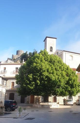 a large tree in front of a building at Cà RosannA in Rocca San Felice