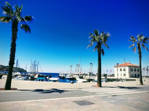 a group of palm trees and a marina with boats at Peaceful View Apartment in Koper