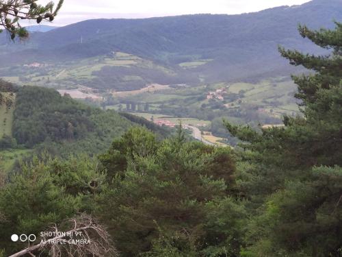 Elle offre une vue sur une vallée avec des arbres et des montagnes. dans l'établissement Alojamientos Acá y Allá, à Urdániz