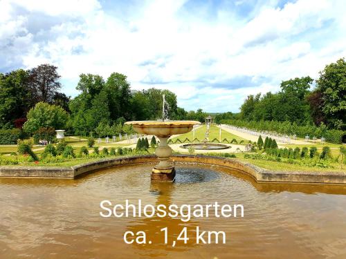 a fountain in the middle of a pond in a park at Ferienwohnung mit Terrasse in Neustrelitz