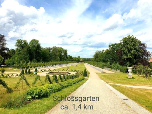 a path through a park with trees and a field at Ferienwohnung mit Terrasse in Neustrelitz