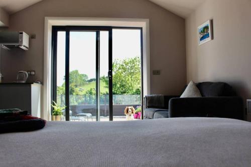 Gallery image of The Hideaway Portaferry in Portaferry