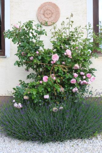 Un jardín fuera de Biohof Schmiedbauer