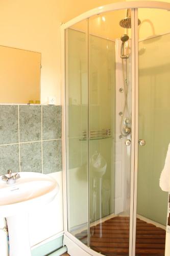 une salle de bain avec douche et lavabo dans l'établissement Maison Esmeralda Chambres D'Hotes et Gite, à Biert