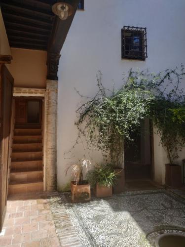 una entrada a un edificio con ventana y plantas en Fery & Nico, en Granada