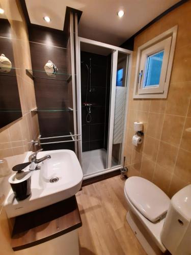 a bathroom with a sink and a shower and a toilet at Chalet de Huismus in Rijs