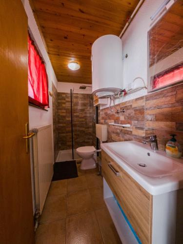 a bathroom with a sink and a toilet in it at Holiday house Tinca in Most na Soči