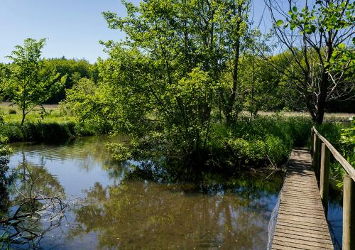 a wooden bridge over a river with trees at Svenskebakken Bed & Breakfast in Roskilde