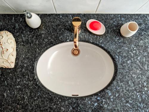 a sink with a gold faucet on a counter at Entspanntes Wohnen in Ostseenähe Studio 2 in Ratekau