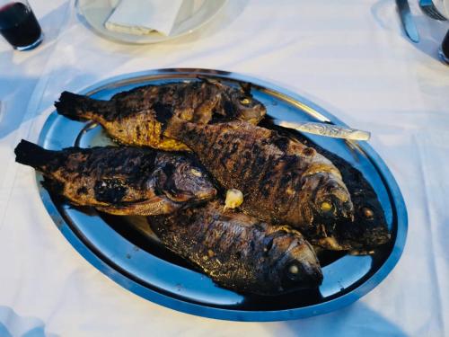 Cibo presso l'appartamento o nelle vicinanze