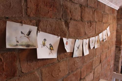 a brick wall with pictures of birds hanging on a string at Kakukkfu Barlang-Vendeghaz in Noszvaj