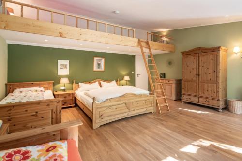 1 Schlafzimmer mit 2 Etagenbetten und einer Leiter in der Unterkunft Apartment 'Entspannen im Taunus' in Taunusstein