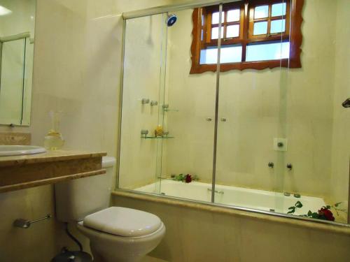 a bathroom with a shower and a toilet and a sink at Pousada do Castelo in Monte Verde