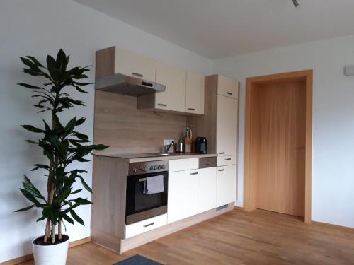 Η κουζίνα ή μικρή κουζίνα στο Appartement PIA