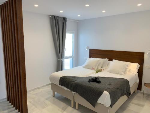 San Lorenzo Apartamentos y Suites