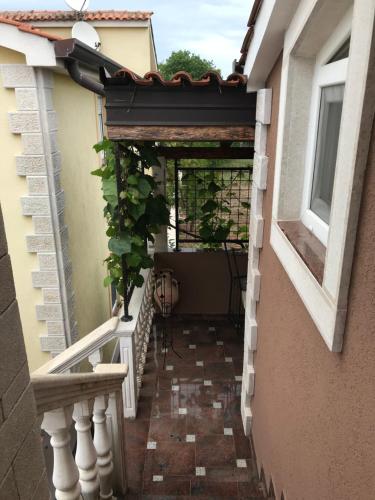 a stairway with a pergola on a house at Apartments Barbara in Poreč