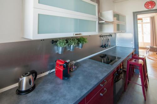 a kitchen with a counter with potted plants on the wall at Bel appartement Tours Centre 2 chambres, 6 pers "Pied-à-Tours" in Tours